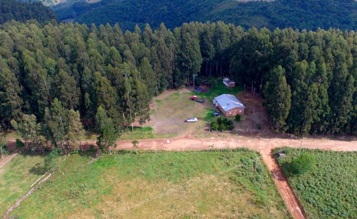 Área de Eucaliptos em Barros Cassal/RS